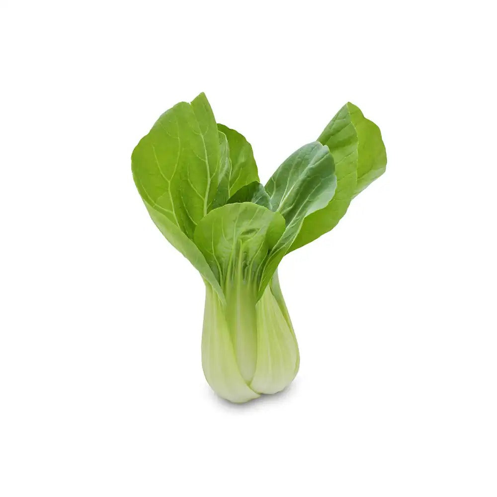 WABU Frische Pak Choi Mini