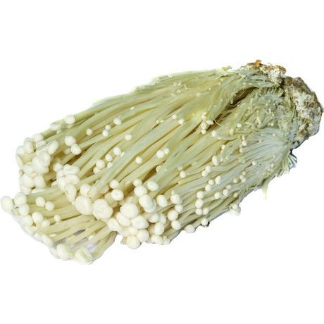 AEF Enoki Pilze aus Südkorea 100g