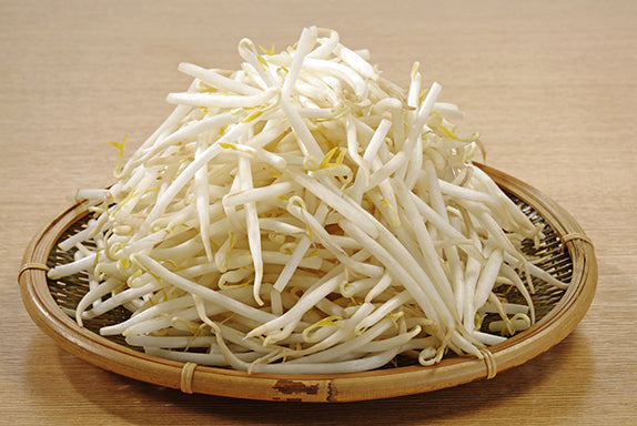 KOCKET Frische Mungobohnensprossen