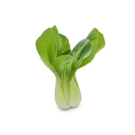 WABU Frische Pak Choi Mini