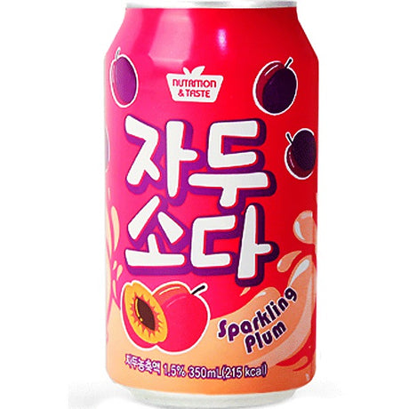 SFC BIO Pflaumen Soda 350ml