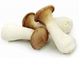 King Oyster Mushroom(Vacuum) 200g