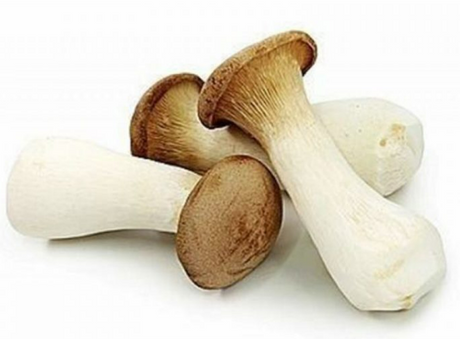 King Oyster Mushroom(Vacuum) 200g