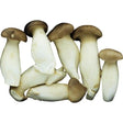 MAO XIONG Eryngii King Oyster Pilz 150 G