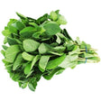 AEF Mint 100g