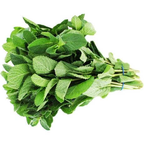 AEF Mint 100g